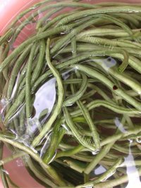 美味的蒸豆角做法图解1)