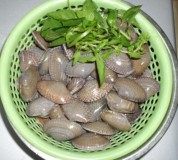少脂肪的爆炒花甲做法图解1)