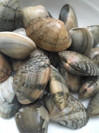 美味的海鲜炒面做法图解6)
