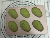 自制抹茶玛德琳