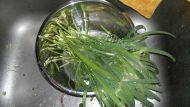 自制蔬菜鸡蛋饼做法图解6)