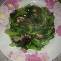 诱人的香菇油菜