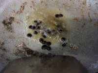 美味的豆豉苦瓜炒牛肉做法图解4)
