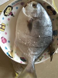 家常菜烧鲳鱼做法图解1)