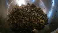 美味的胡萝卜鸡蛋木耳馅水饺做法图解3)
