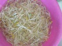解暑的凉拌豆皮豆芽做法图解3)