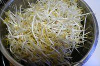 家常菜素炒绿豆芽做法图解1)