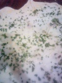 自制葱香花卷做法图解5)