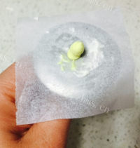喷香的草莓慕斯蛋糕做法图解12)