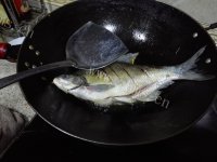 喷香的红烧鳊鱼做法图解1)