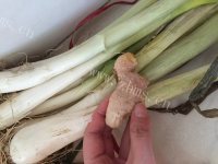 唇齿留香的猪肉饺子做法图解1)