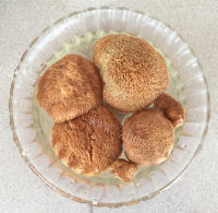 美味猴头菇煲土鸡汤做法图解2)