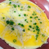 美味的银鱼煎蛋