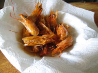 自制虾油