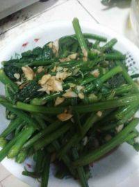 家常菜蒜香南瓜苗