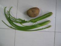 家常菜芹菜土豆条做法图解1)