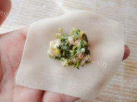 家常香椿菜肉馄饨做法图解3)