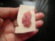 色味俱全的香煎酿豆腐做法图解5)