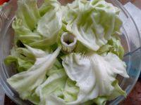 自制包菜鸡蛋饺子做法图解1)
