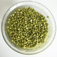 自制绿豆棒冰做法图解1)