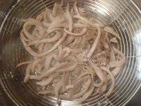 美味温拌腰丝做法图解7)