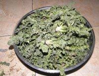 自己做的野菜饺子做法图解2)