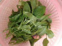 家常菜凉拌菠菜粉丝做法图解1)