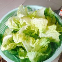 家常菜清炒西生菜做法图解2)