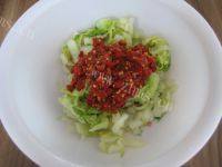 「DIY美食」酸辣白菜做法图解7)