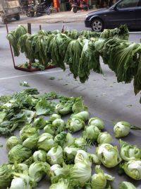 诱人的腌咸菜做法图解3)
