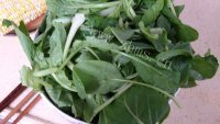 家常菜蚝油小白菜做法图解1)