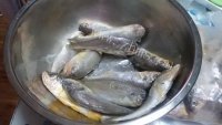 香酥豆腐衣包小黄鱼做法图解1)