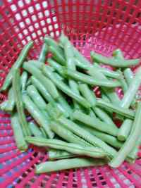 美味的四季豆炒肉做法图解1)