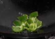广式腊肠炒包菜做法图解3)
