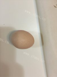 爽口的紫菜蛋花汤做法图解2)