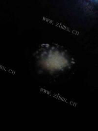 口感不错的肉未茄子做法图解3)