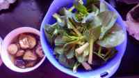 香菇青菜做法图解1)