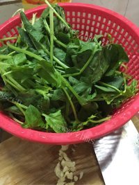 蒜蓉炒菠菜做法图解1)