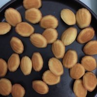 自制玛德琳蛋糕