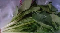 回味无穷的炝拌菠菜做法图解1)