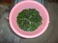 口感不错的凉拌茼蒿做法图解6)