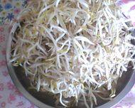 诱人的豆芽炒韭菜做法图解1)