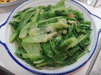 饱满的蒜香油麦菜