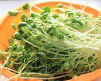凉拌黑豆苗做法图解1)