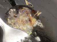咸甜适中的家常豆腐做法图解5)