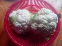 家常菜素炒花菜做法图解1)