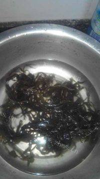 诱人的海带豆芽排骨汤做法图解3)