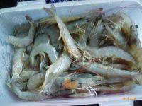 家常凤梨炒饭做法图解2)