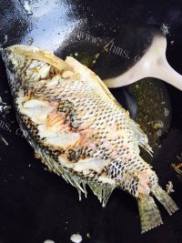 家常菜红烧福寿鱼做法图解7)