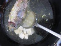 DIY鲫鱼豆腐汤做法图解9)